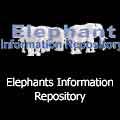 Elephants Repository